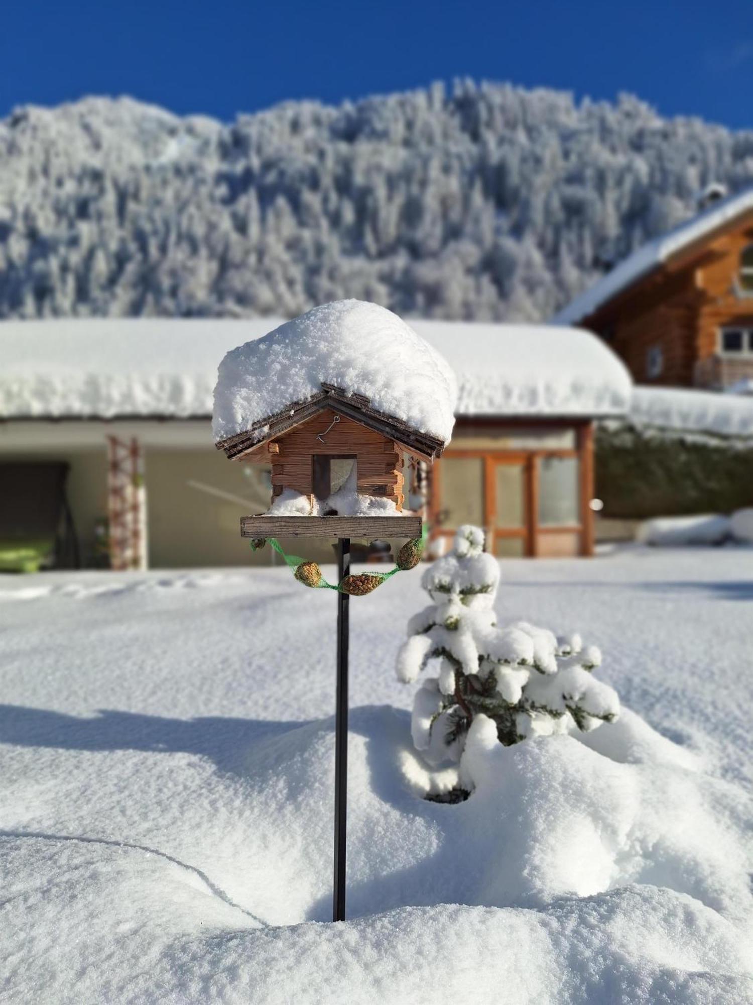 Ferienwohnungen Pollhammer Sankt Gallenkirch Bagian luar foto