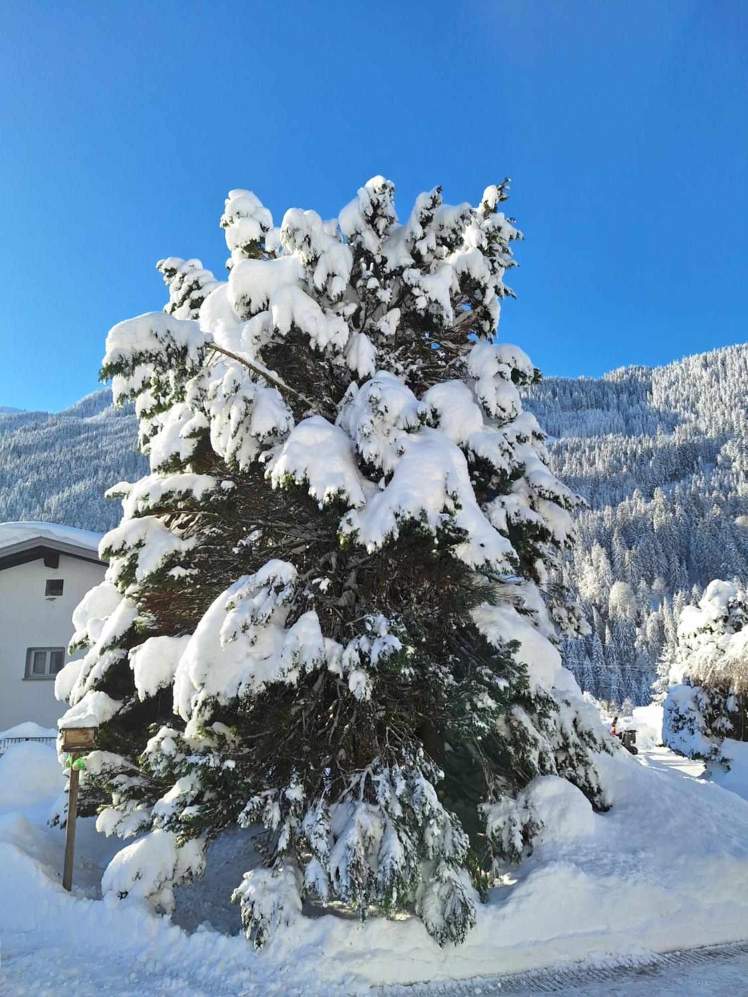 Ferienwohnungen Pollhammer Sankt Gallenkirch Bagian luar foto
